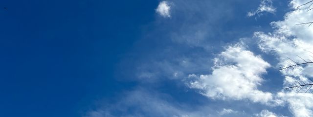 みとさんの壁紙画像