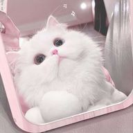 Rinさんのアイコン画像