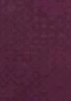 私達は最強の殺し屋