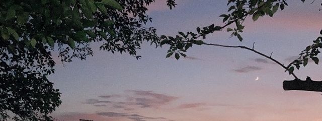 とりやまさんの壁紙画像