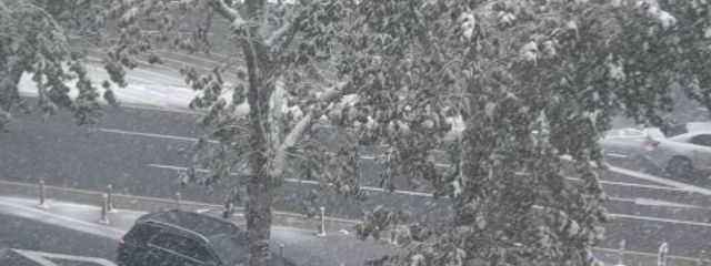 Hejfaさんの壁紙画像