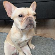 タッキーさんのアイコン画像