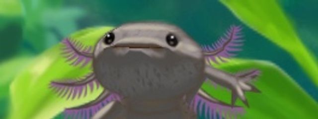 推しは神だ!‎🤍☪️さんの壁紙画像