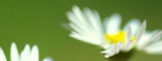 ℝ𝕚𝕟𝕒 🫀⛓️さんの壁紙画像