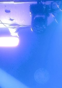  nj￤嘘つきやめないで