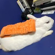 セラさんのアイコン画像