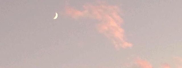 REIRAさんの壁紙画像