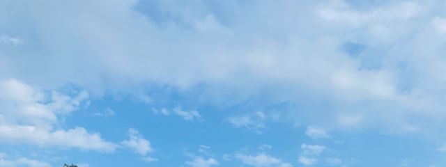 ykngさんの壁紙画像