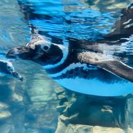 ykngさんのアイコン画像