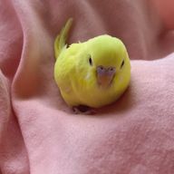 ゆりえさんのアイコン画像