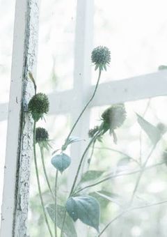 奥隠す涙に失った自由を。