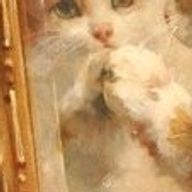 名無し　：訳あって投稿できていませんさんのアイコン画像