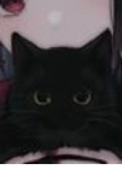 雑談みたいな…