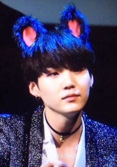 恋をした捨て猫