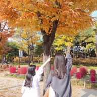 luena さんのアイコン画像