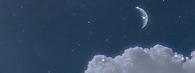 するめいか ♩さんの壁紙画像