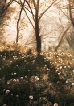 画力上げ部屋.2