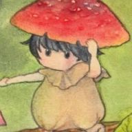 まめきのこ🌙さんのアイコン画像