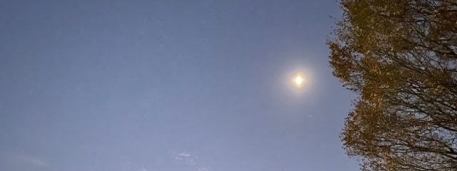 estpさんの壁紙画像