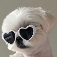 minieさんのアイコン画像