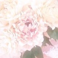 yさんのアイコン画像