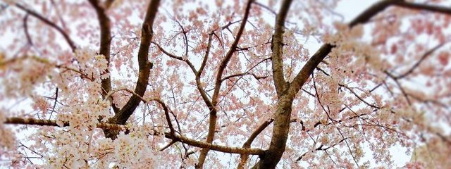 9−2  10−6さんの壁紙画像