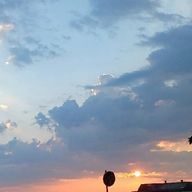 9−2  10−6さんのアイコン画像