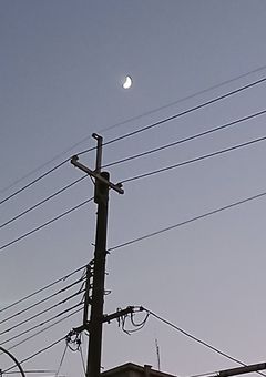 絵練習⚠️へったくそ