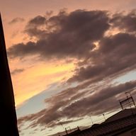 らずべりぃさんのアイコン画像