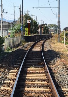 今日のあなたはどこ吹く風