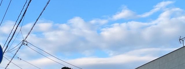 おっちゃん 🐤🐷さんの壁紙画像