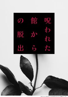 呪いの館からの脱出