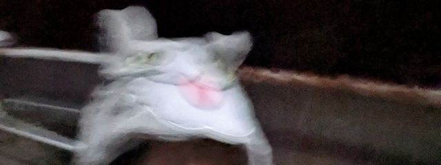 ひうさんの壁紙画像