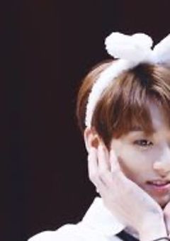 聖獣様のペットになりました