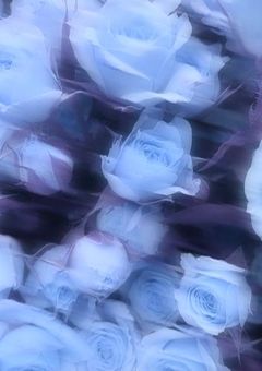  ︎ ︎ ︎ ︎♡ ⌇﻿ ︎ ︎# ︎ ︎Njs4 BL