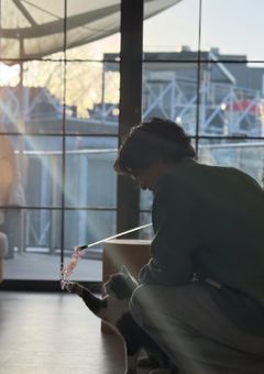 　アフターストーリー‌　‌