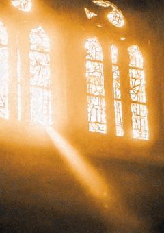 q u a l i a の 女 神