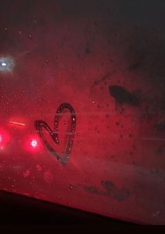 可 惜 夜 に 浸 か る