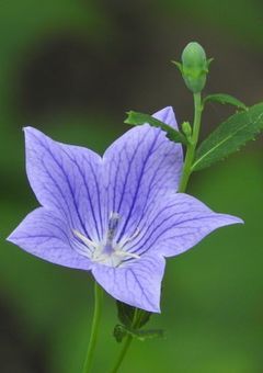 何度でも貴方に恋をする
