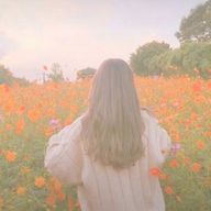 ひまわりさんのアイコン画像