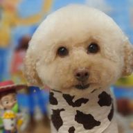 マー📸🌻🍊🐰🎈さんのアイコン画像