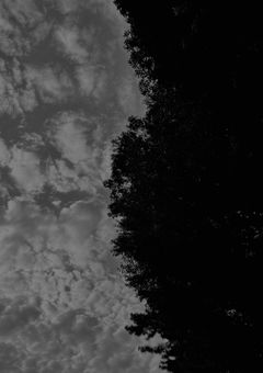 【尾も白い僕らは今日も明日を求める＿＿。】