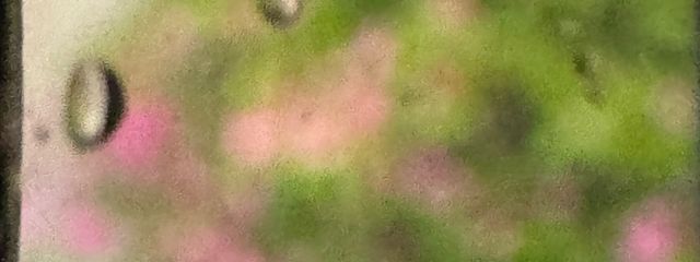 😆さんの壁紙画像