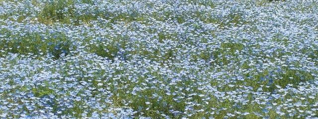 ％さんの壁紙画像