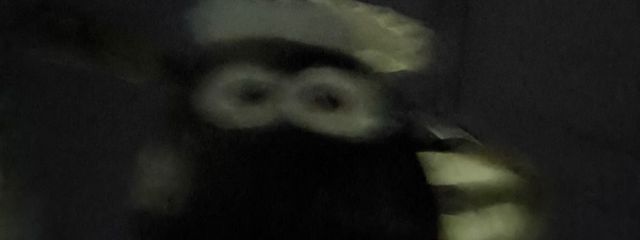 ばんちょーさんの壁紙画像