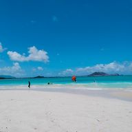 卯月 菜乃花。さんのアイコン画像