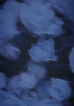  ざつだんるーむ 