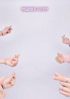 私が拾われたのは7人兄弟