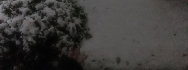 luv_li.is_s2さんの壁紙画像