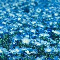 おにぎりさんのアイコン画像